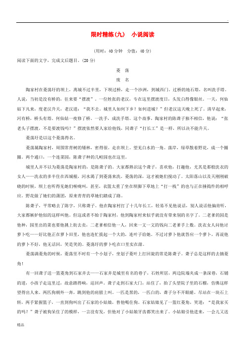 (浙江专用)2019高考语文二轮复习 精准提分练 第五章 专项限时精练(九)小说阅读