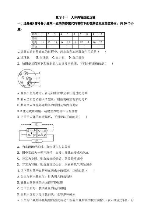 2020年中考生物 备战复习十一人体内物质的运输(包含答案)