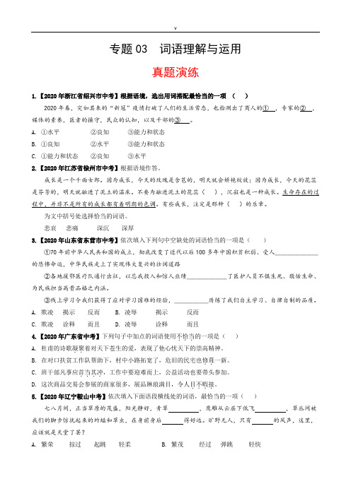 八年级语文下册_专题03_词语理解与运用_(真题演练)_(原卷版)