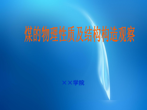 安全工程 12.3宏观煤岩组分观察