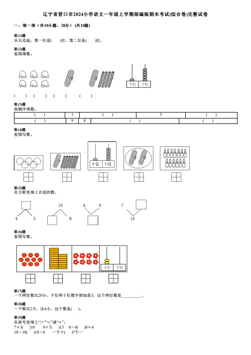 辽宁省营口市2024小学数学一年级上学期部编版期末考试(综合卷)完整试卷