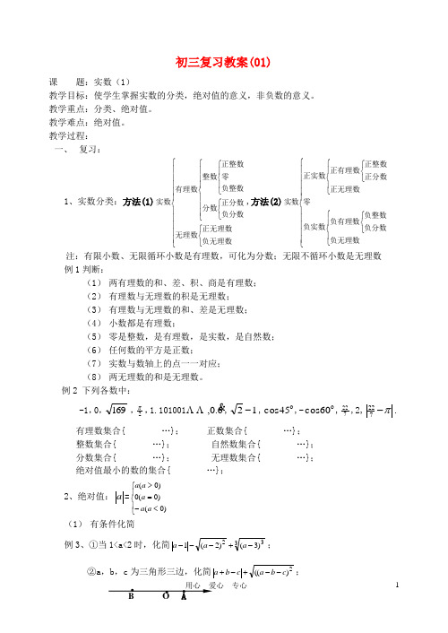 九年级数学 实数的概念复习教案