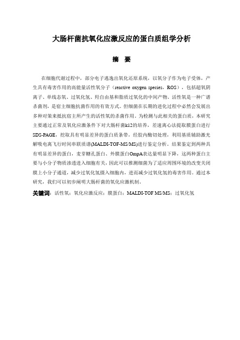 大肠杆菌抗氧化应激反应的蛋白质组学分析
