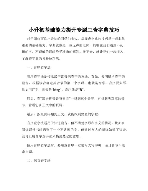 小升初基础能力提升专题三查字典技巧