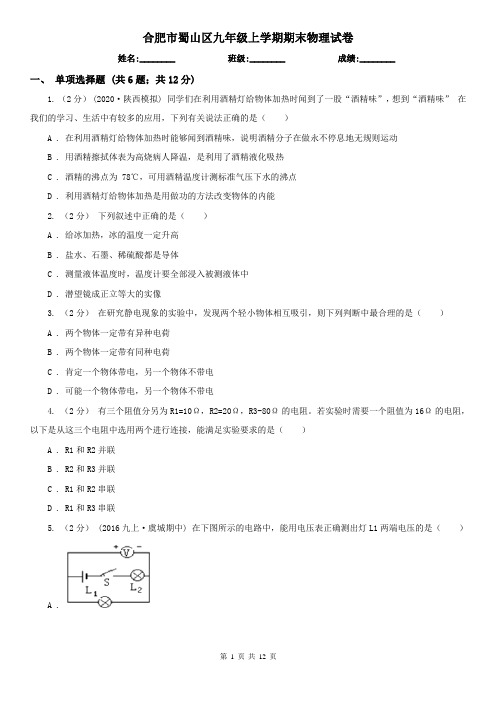 合肥市蜀山区九年级上学期期末物理试卷