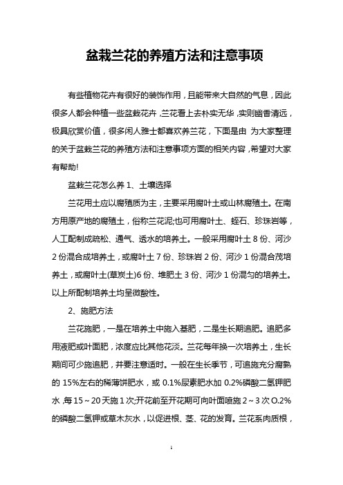 盆栽兰花的养殖方法和注意事项