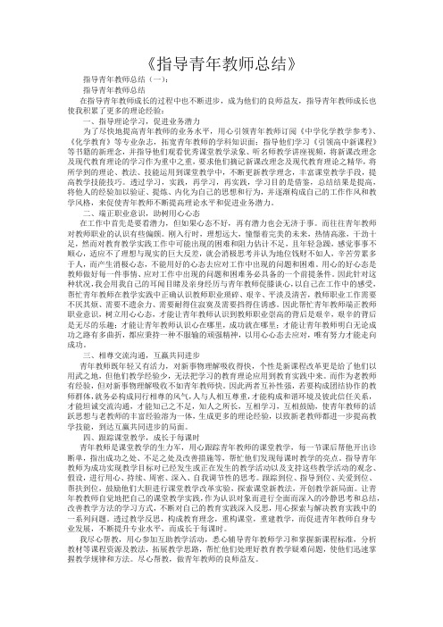 指导青年教师总结12篇