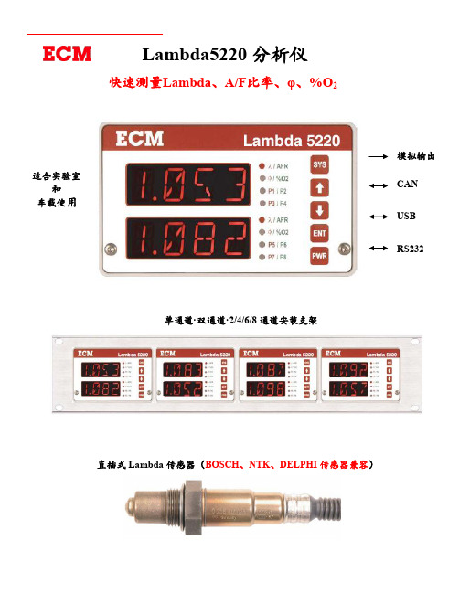 快速空燃比分析仪LAMBDA5220