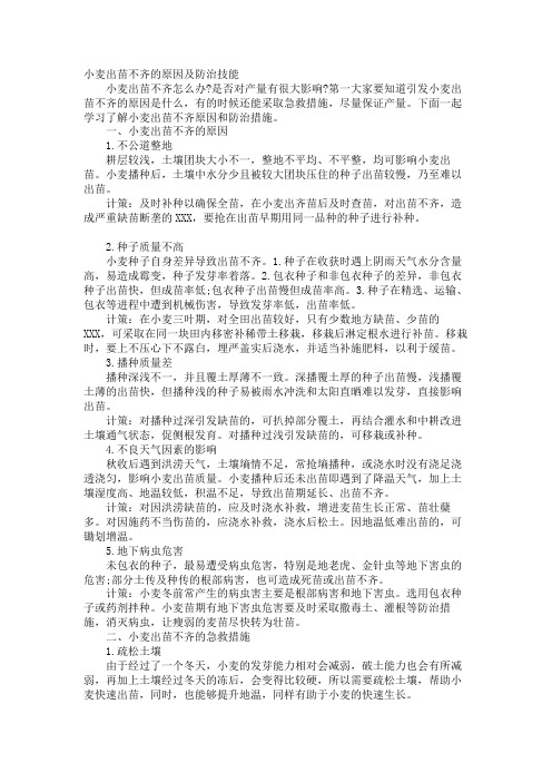 小麦出苗不齐的原因及防治技巧