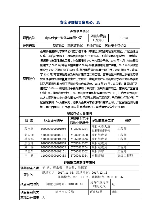 安全评价报告信息公开表