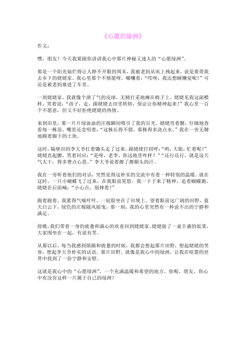 《心愿的绿洲》