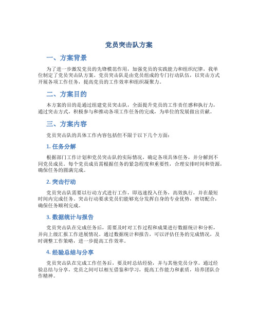 党员突击队方案