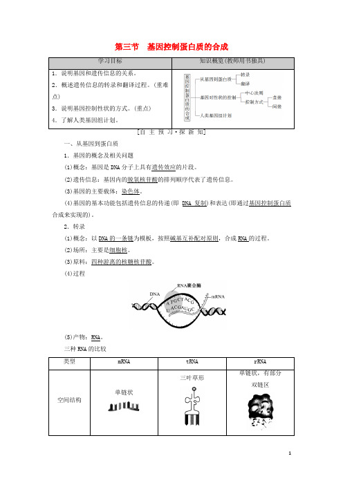 最新高中生物 第4章 遗传的分子基础 第3节 基因控制蛋白质的合成学案 苏教版必修2(考试必备)