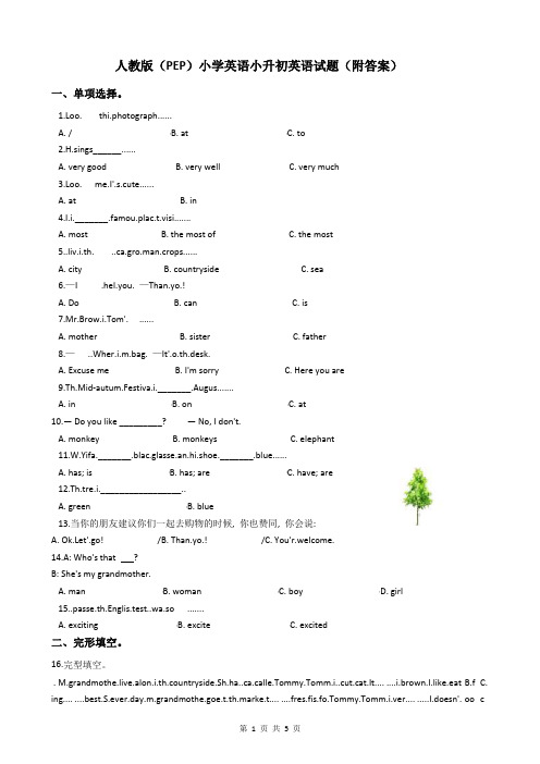 人教版(PEP)小学英语小升初英语试题(附答案)