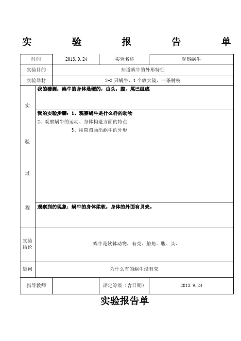 小学三年级科学上动物实验报告