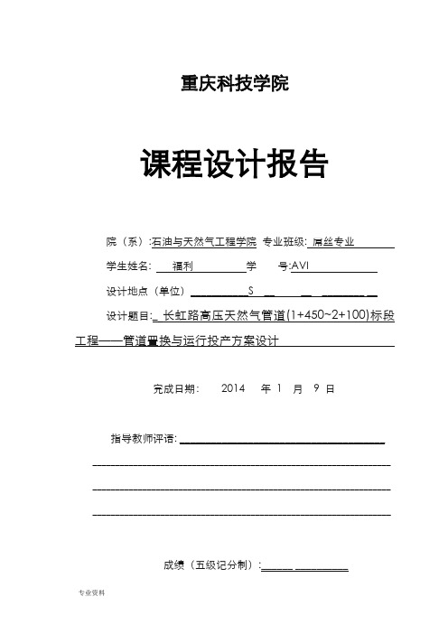 长虹路高压天然气管道(1+450~2+100)标段工程——管道置换与运行投产方案设计