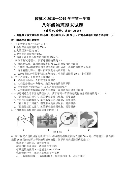 德州市陵城区2018-2019学年上学期期末考试物理试题及答案