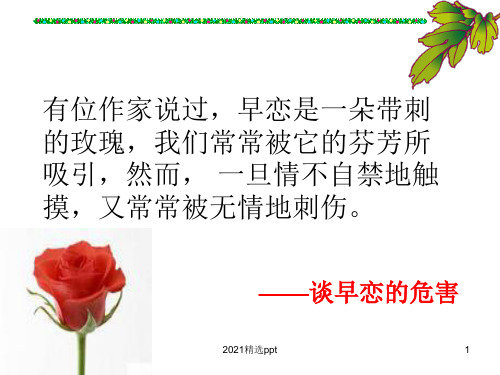 早恋的危害主题班会分析ppt课件
