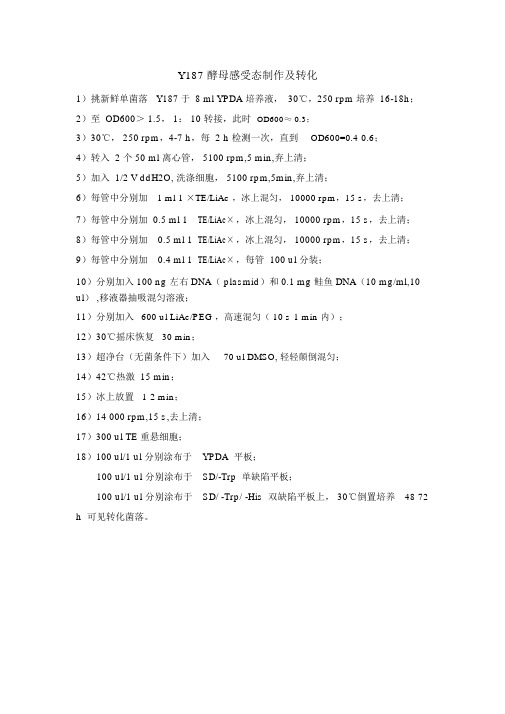 酵母菌感受态制作及转化