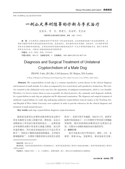 一例公犬单侧隐睾的诊断与手术治疗