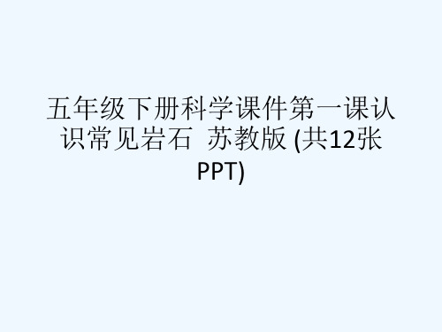 五级下册科学课件第一课认识常见岩石  苏教版 (共12张PPT)[可修改版ppt]