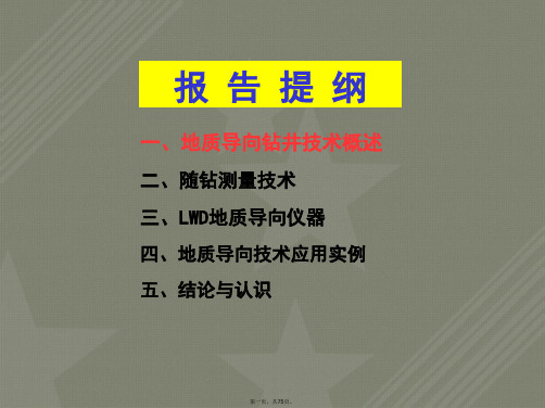 随钻测井及地质导向钻井技术