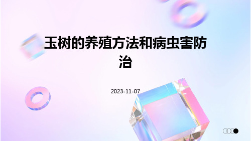 玉树的养殖方法和病虫害防治