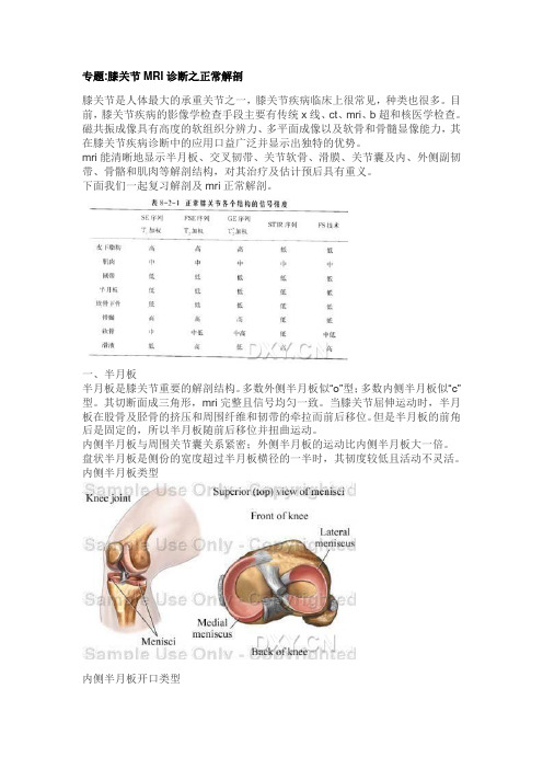 专题-膝关节MRI诊断之正常解剖