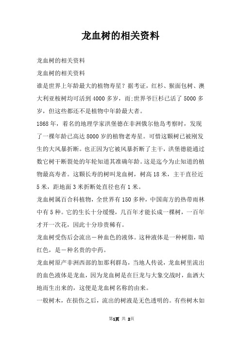 龙血树的相关资料