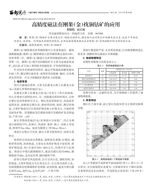 高精度磁法在刚果(金)找铜钴矿的应用