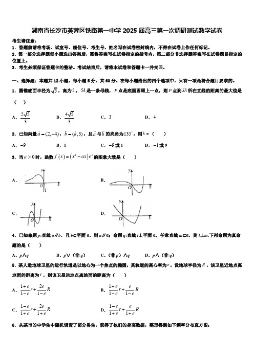 湖南省长沙市芙蓉区铁路第一中学2025届高三第一次调研测试数学试卷含解析