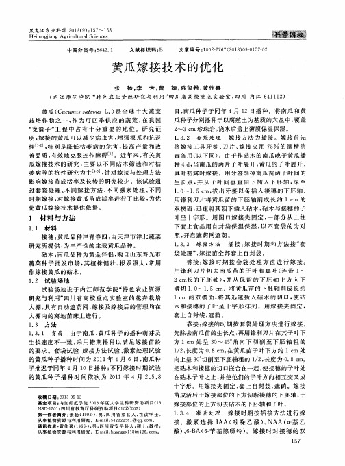 黄瓜嫁接技术的优化