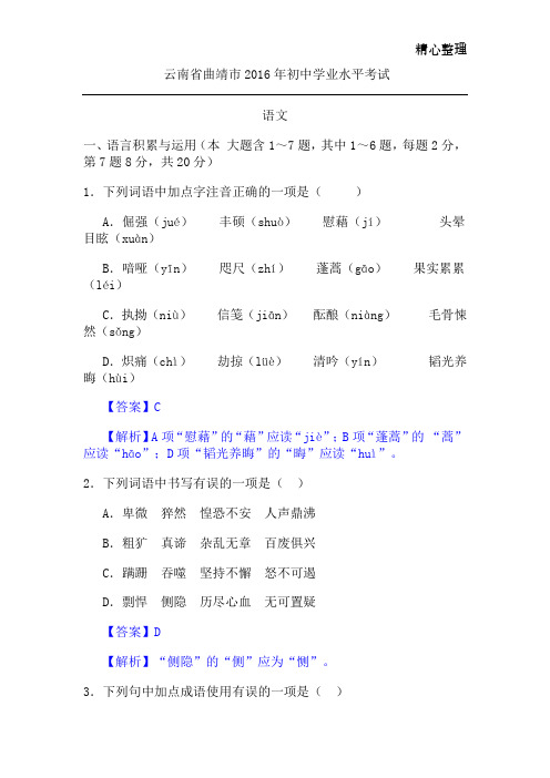 云南省曲靖市2016年初中学业水平考试语文试卷(解析版)