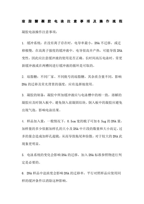 琼脂糖凝胶电泳注意事项及操作流程