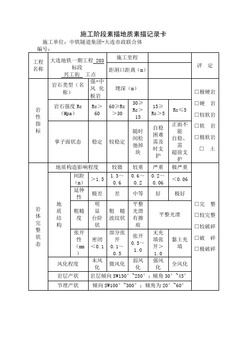 2段地质素描记录卡31页