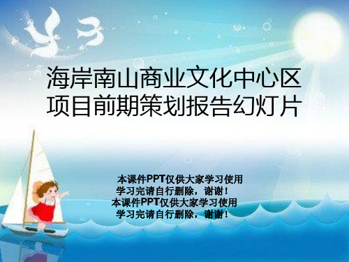 海岸南山商业文化中心区项目前期策划报告幻灯片