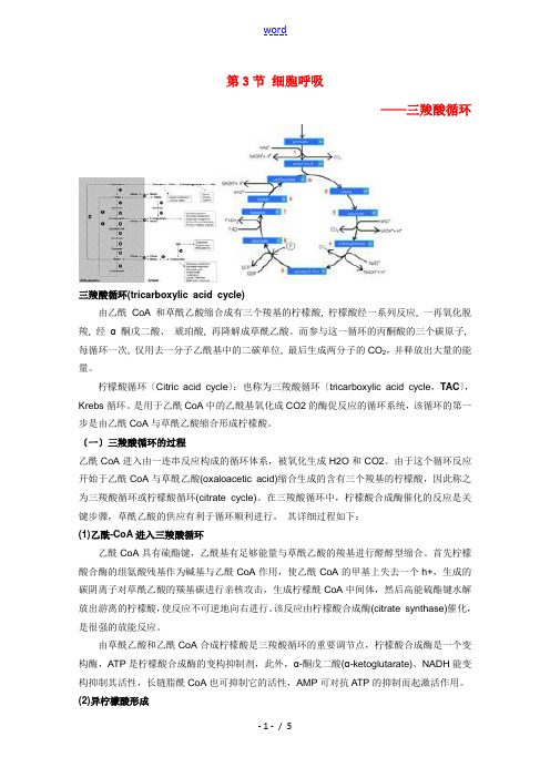 高中生物《细胞呼吸》文字素材1 苏教版必修1