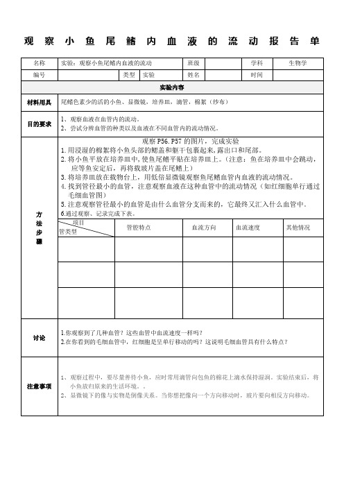 实验：观察小鱼尾鳍内血液的流动实验报告单