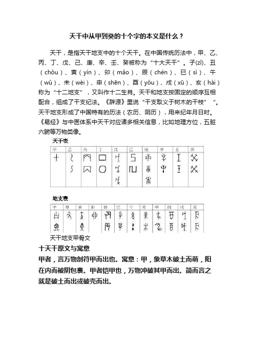 天干中从甲到癸的十个字的本义是什么？