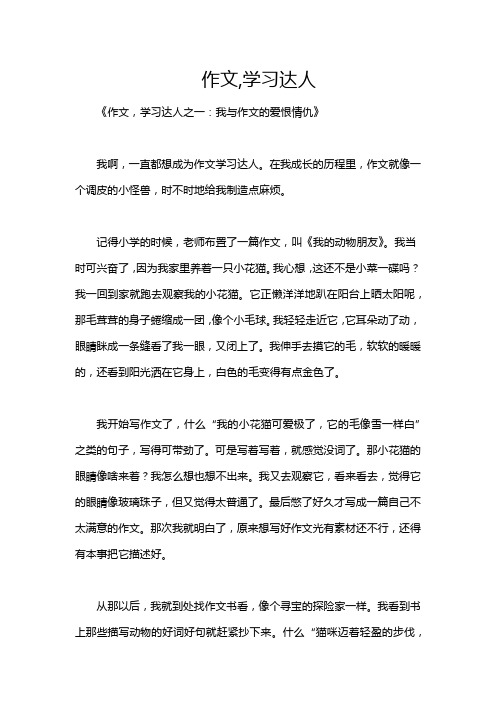 作文,学习达人