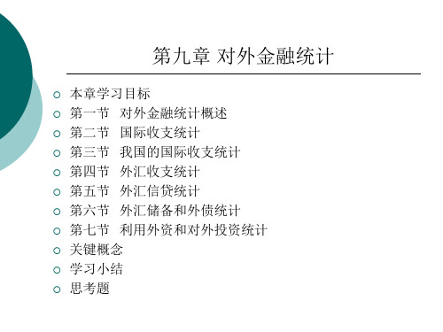 《金融统计学》第九章 对外金融统计-PPT精品文档99页