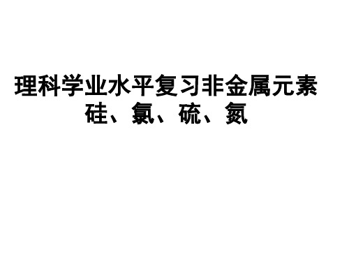 理科学业水平复习硅、硫、氯、氮