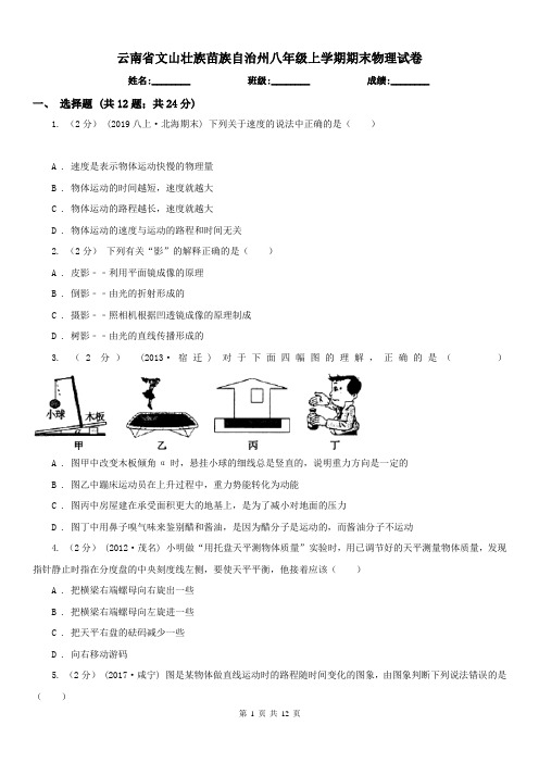 云南省文山壮族苗族自治州八年级上学期期末物理试卷