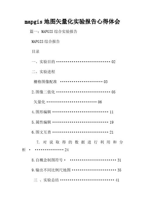 mapgis地图矢量化实验报告心得体会