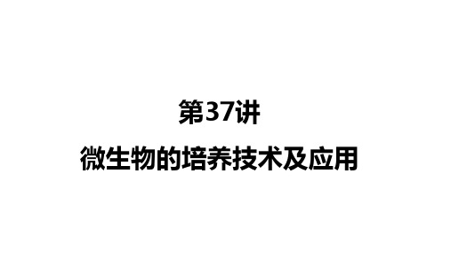 高三生物一轮复习课件第37讲微生物的培养技术及应用