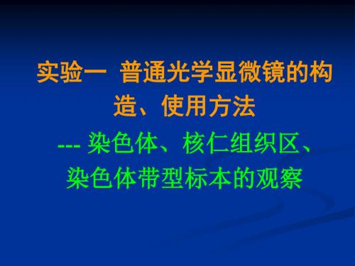 一普通光学显微镜的构造使用方法---染色体核仁组织区