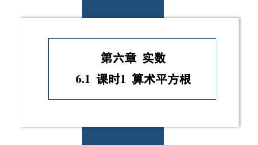 2023~2024学年 6.1 课时1 算术平方根(17页)