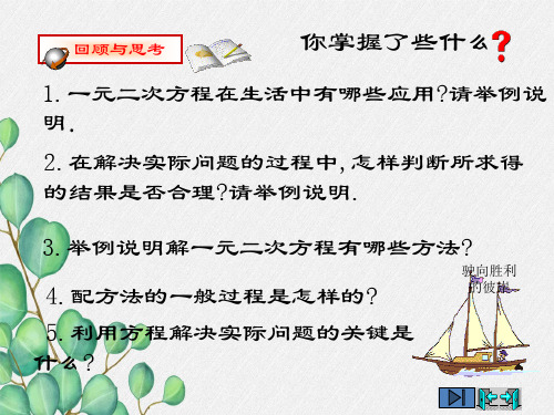 一元二次方程小结