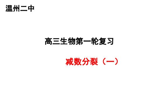 母方重要概念同源染色体联会四分体非姐妹染色-温州第二高级中学