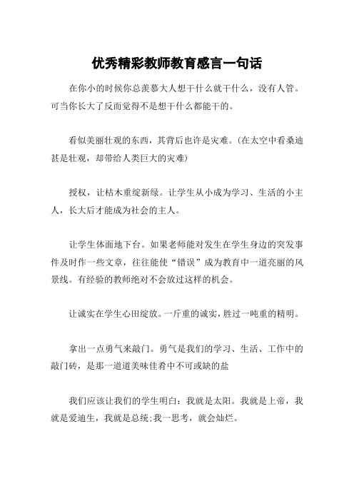 优秀精彩教师教育感言一句话